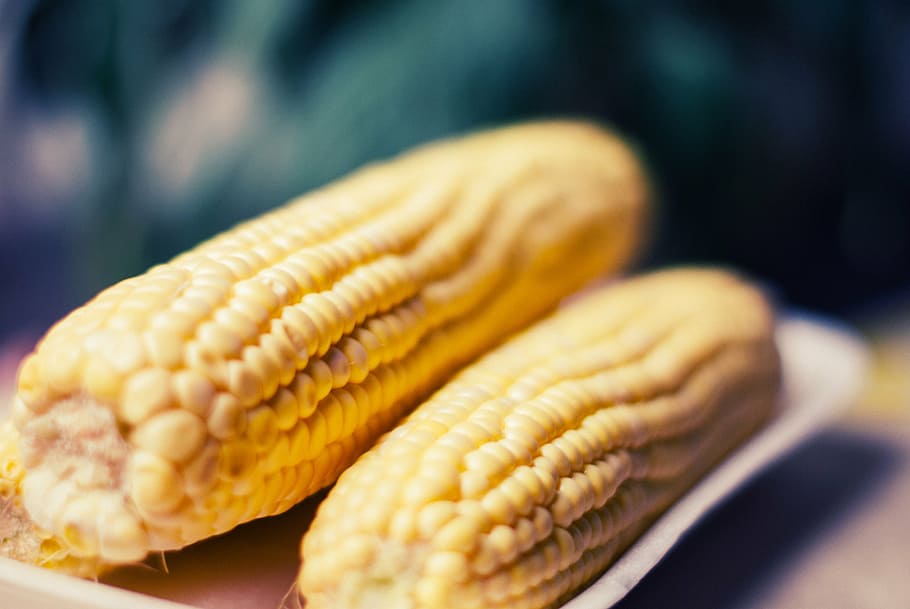 Produktna berza: Rast cena kukuruza i pšenice, soja stabilno